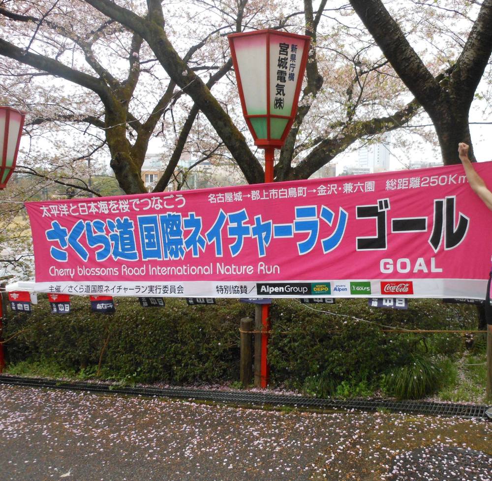 The finish line in 2013, pic by Diane Weaver while waiting for Paul Every to reach that extremely special final tree